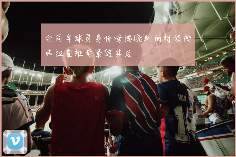 合同年球员身价榜揭晓科纳特领衔弗拉霍维奇紧随其后